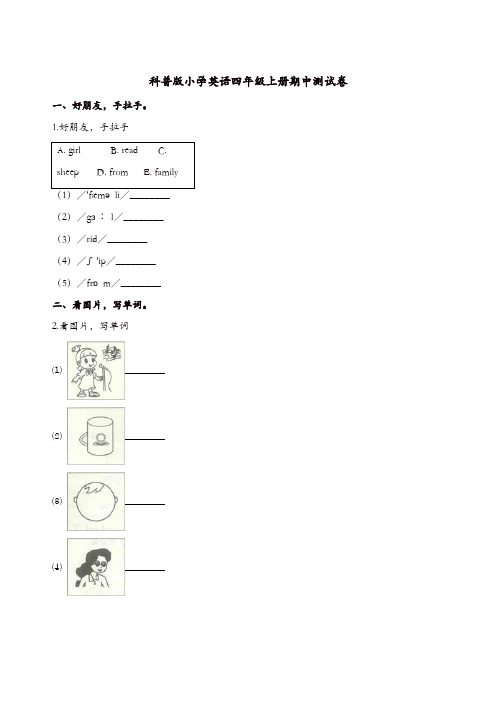 四年级上册英语试题-期中测试卷 (1)科普版(含解析)