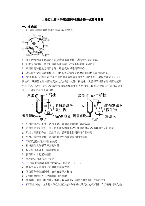 上海市上海中学普通高中生物必修一试卷及答案