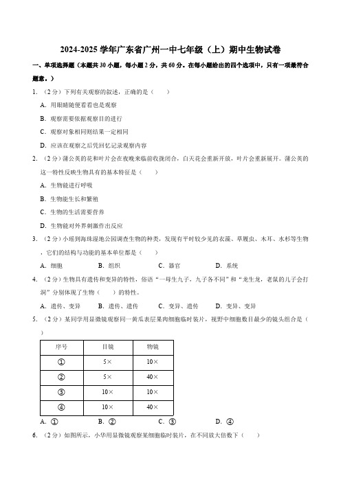 广东省广州市第一中学2024-2025学年七年级上学期期中考试生物试题(含解析)