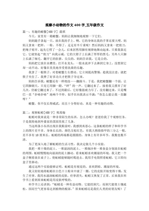 观察小动物的作文400字_五年级作文