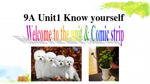 九上英语课件Unit1 Welcome to the unit 课件