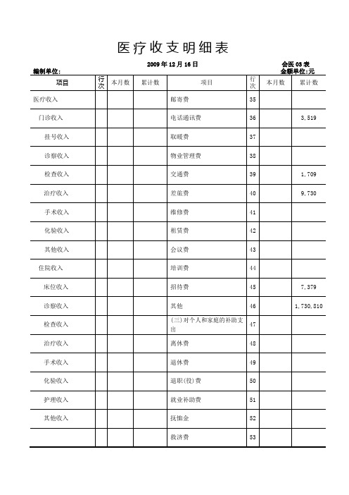 医疗收支明细表