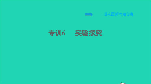 2022九年级化学全册期末专训6实验探究习题课件鲁教版五四制20220610253