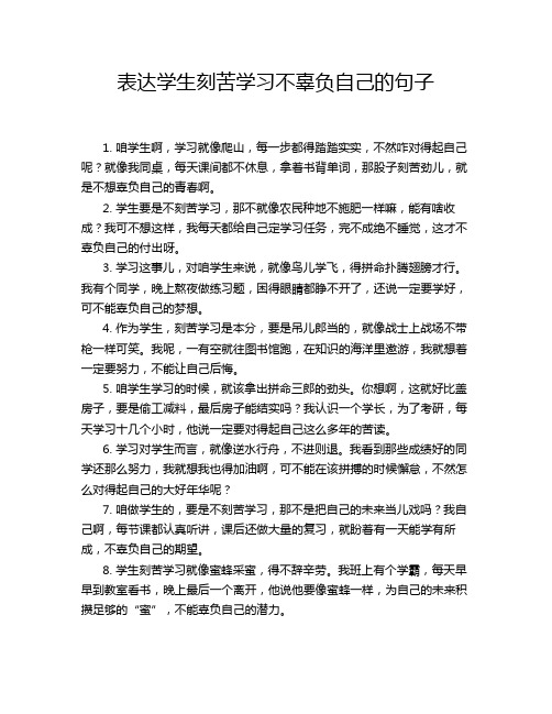 表达学生刻苦学习不辜负自己的句子