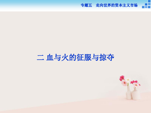 2017_2018高中历史专题五走向世界的资本主义场二血与火的征服与掠夺课件人民版必修2