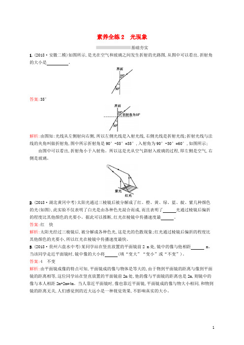 (课标通用)安徽省2019年中考物理总复习 素养全练2 光现象试题 - 副本.docx