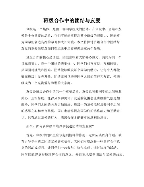 班级合作中的团结与友爱