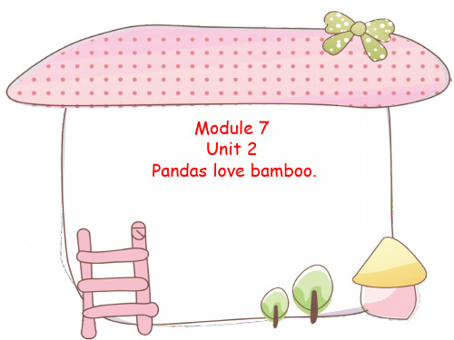 外研版六年级英语上册 Module 7 Unit 2 Pandas love bamboo.