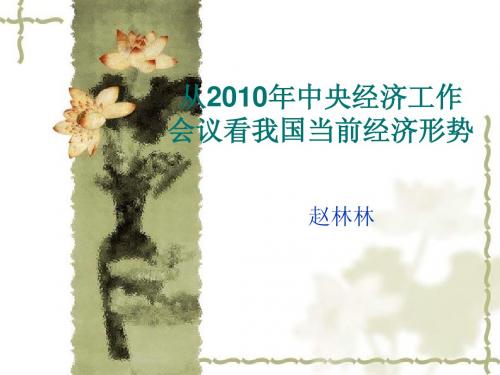 2010中央经济工作会议看当前中国经济形势-赵林林