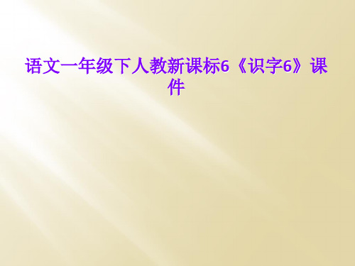 语文一年级下人教新课标6《识字6》课件