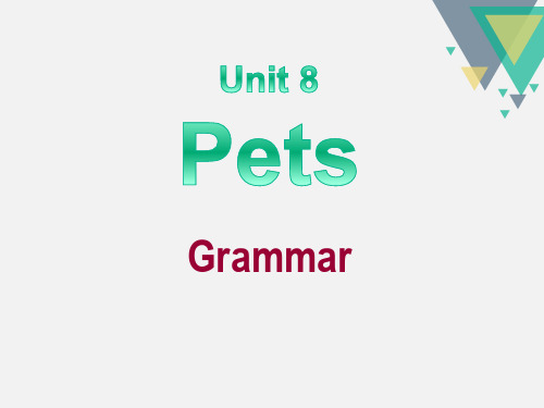 《Pets》Grammar-优质精选PPT