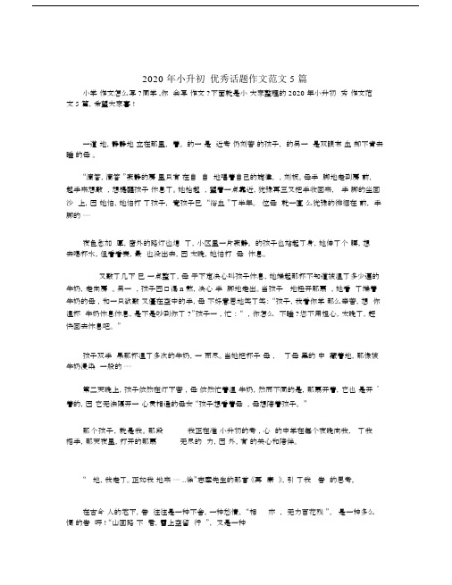 2020年小升初优秀话题作文范文5篇.docx