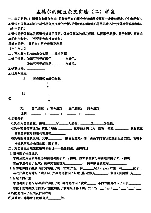 孟德尔的豌豆杂交实验(二)学案-2023-2024学年高一下学期生物人教版(2019)必修2