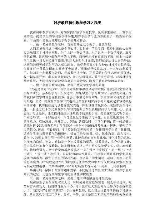 浅析教好初中数学学习之我见