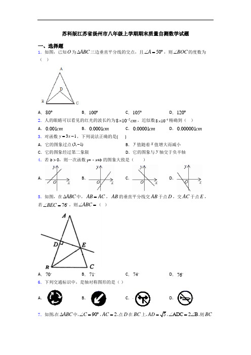 苏科版江苏省扬州市八年级上学期期末质量自测数学试题