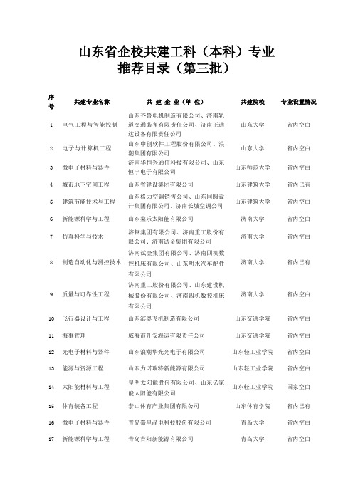 山东省企校共建工科本科专业