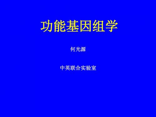 8-1.功能基因组学