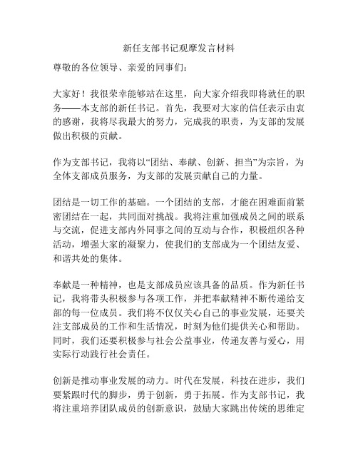 新任支部书记观摩发言材料