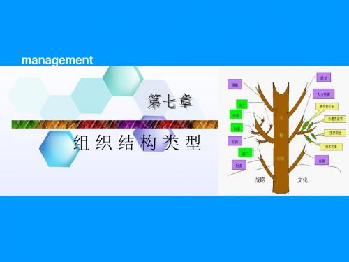 管理学第七章组织结构类型简明教程PPT课件