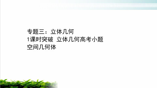 2021届新高考数学二轮专题复习：立体几何立体几何中的高考小题ppt完美课件(95页)