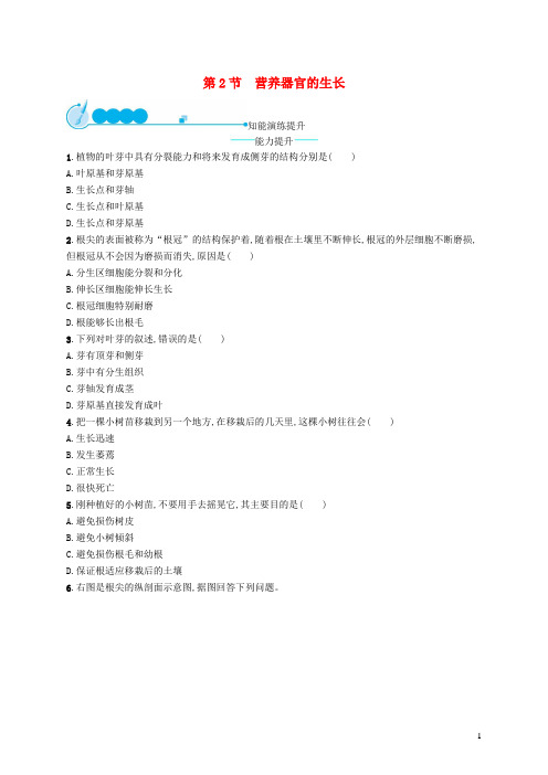 淮北市第二中学七年级生物上册3.6.2营养器官的生长课后习题新版北师大版1