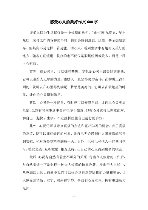 感受心灵的美好作文600字