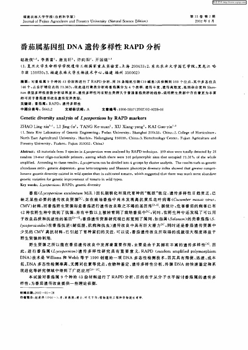 番茄属基因组DNA遗传多样性RAPD分析