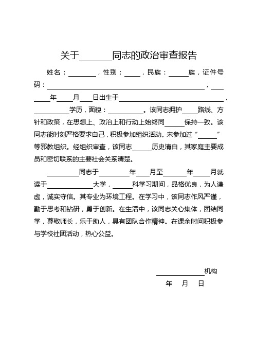 关于某某同志的政审报告