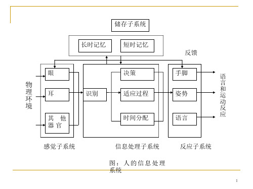 第三章人的信息处理系统