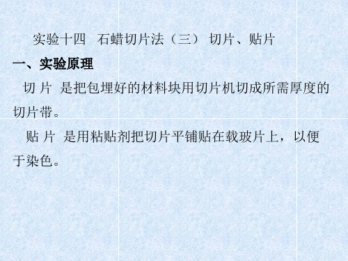 实验十四、石蜡切片法(三)切片、贴片