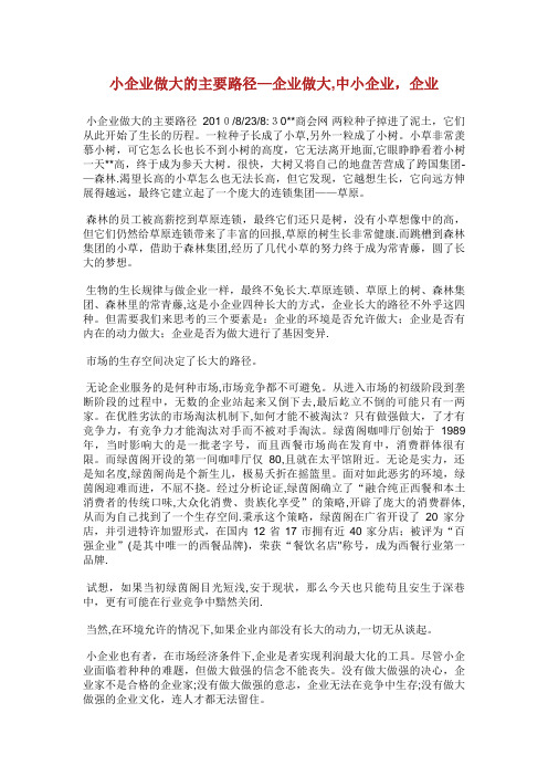 小企业做大的主要路径企业做大,中小企业,企业发展完整篇