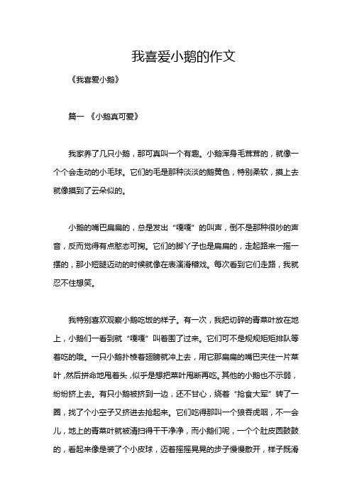 我喜爱小鹅的作文