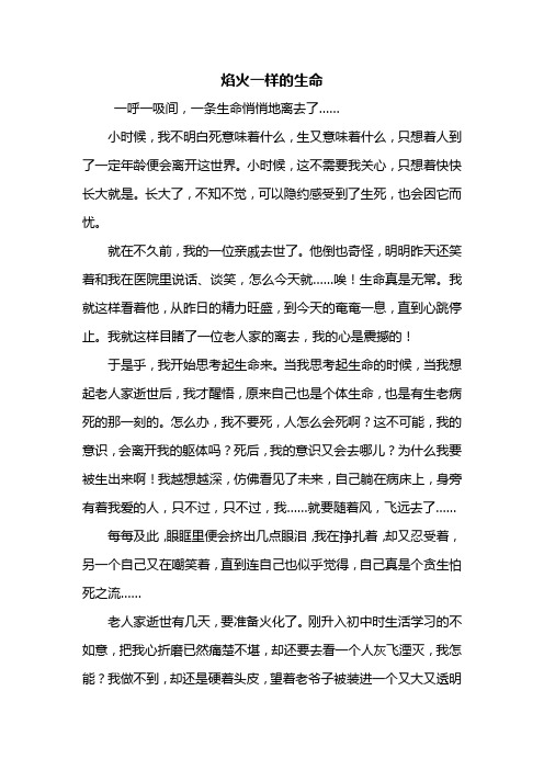 初一作文:焰火一样的生命作文800字