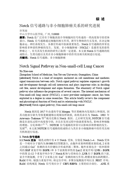 Notch信号通路与非小细胞肺癌关系的研究进展