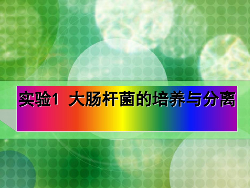 浙科版选修1生物实验一-大肠杆菌的培养与分离(共25张PPT)