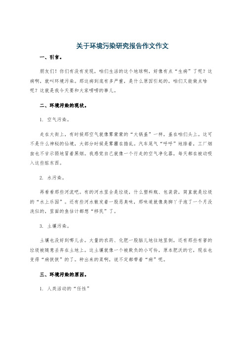 关于环境污染研究报告作文作文