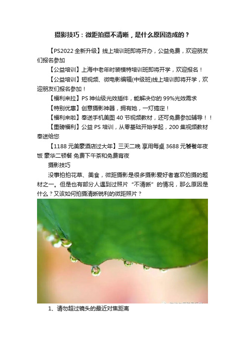 摄影技巧:微距拍摄不清晰,是什么原因造成的?