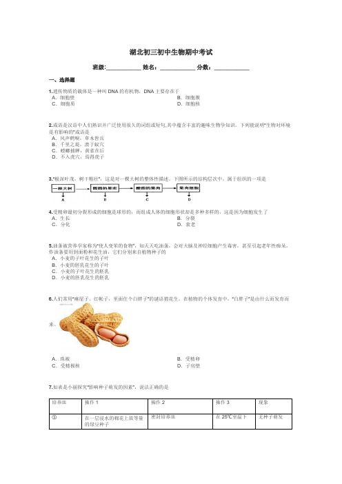 湖北初三初中生物期中考试带答案解析
