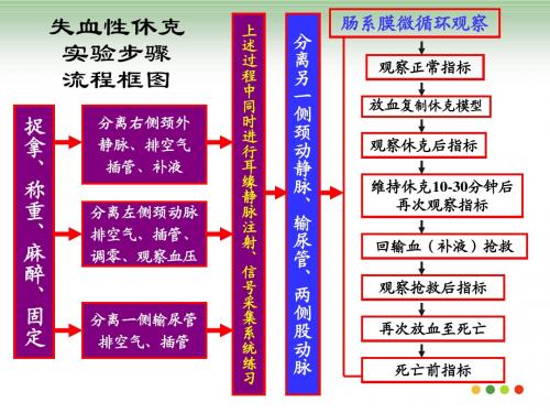 家兔失血性休克流程图