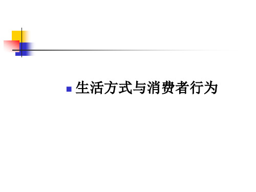 生活方式与消费者行为讲解