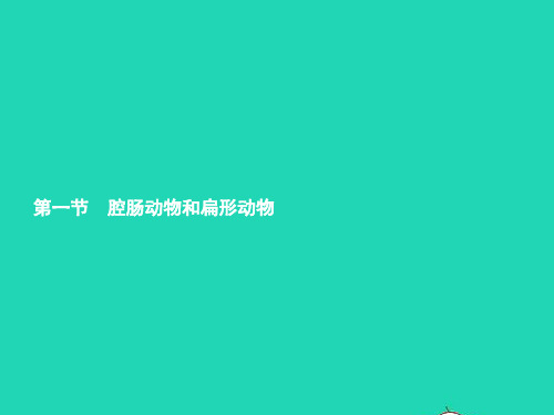 八年级生物上册第5单元第1章动物的主要类群第1节腔肠动物和扁形动物课件新版新人教版