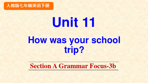 2020春人教版英语初中七年级下册-Unit 11 Section A Grammar Focus -3b-优秀教学课件