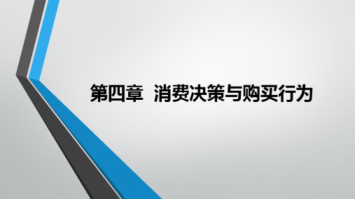 第04章  消费决策与购买行为