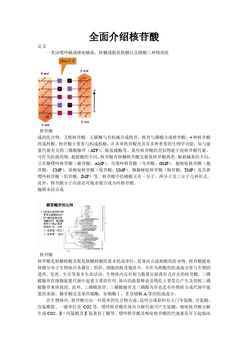 核苷酸全面介绍