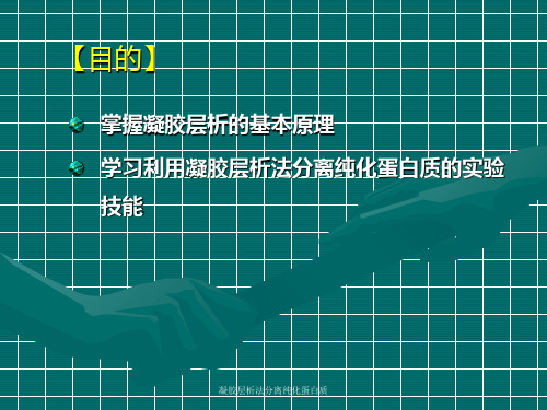 凝胶层析法分离纯化蛋白质