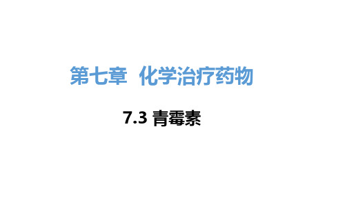 7.3 内酰胺类