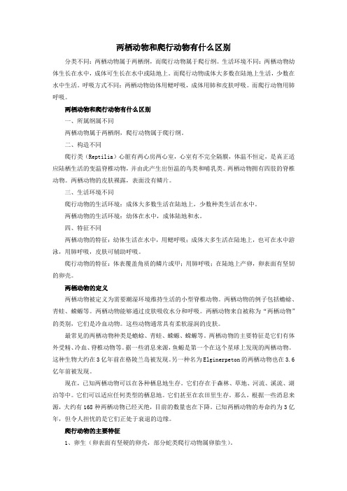 两栖动物和爬行动物有什么区别