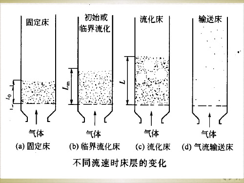 气固相催化反应流化床反应器完整版PPT