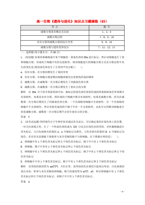 高一生物《遗传与进化》知识点习题演练(63)