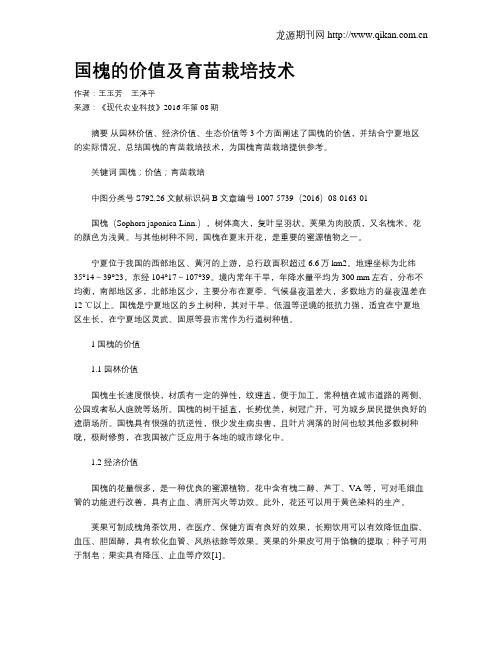 国槐的价值及育苗栽培技术